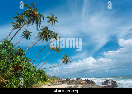 Tropical beach of Sri-Lanka Stock Photo