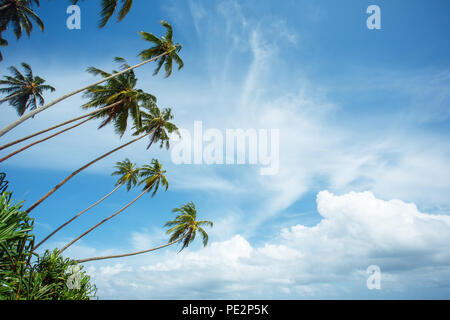 Tropical beach of Sri-Lanka Stock Photo