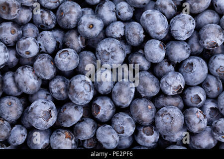 blueberry texture closeup Stock Photo