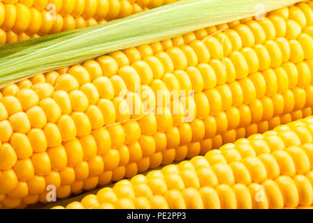 corn macro closeup Stock Photo