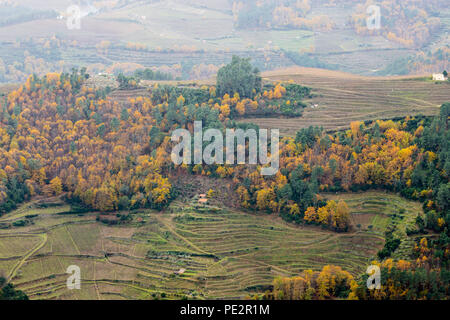 Countryside scene near Pomarelhos, with farm shack/shed building, and autumn colour in the forest slopes behind stepped terraces, Alto Douro Port wine Stock Photo