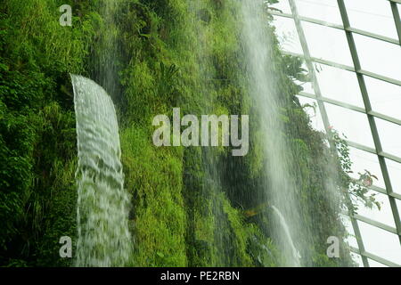 Inside cloud forest and the waterfall Stock Photo