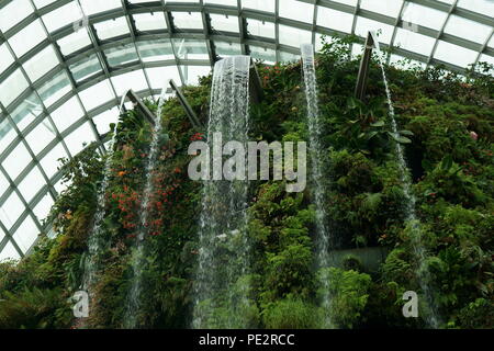 Cloud forest in Singapore Stock Photo