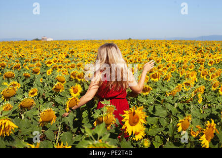 happy woman in summer sunflower field enjoying life, natural beauty Stock Photo