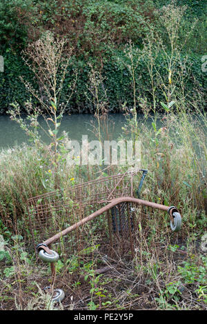 Dumped supermarket trolley, River Brent, near Brent Reservoir, Brent, London, United Kingdom Stock Photo