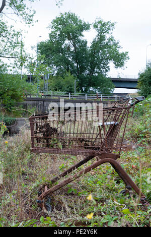 Dumped shopping trolley, Brent River, near Brent Reservoir, Brent, London, United Kingdom Stock Photo