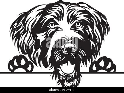 German Pointer Breed Pet Puppy Isolated Head Face Stock Vector