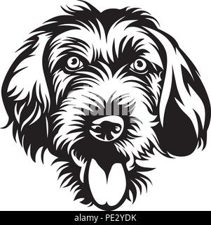 German Pointer Breed Pet Puppy Isolated Head Face Stock Vector