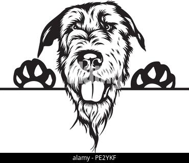 Irish Wolfhound Dog Breed Pet Puppy Isolated Head Face Stock Vector ...