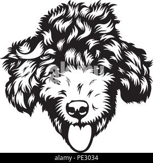 Vector portrait of a poodle dog in doodle cartoon style. Pet ...