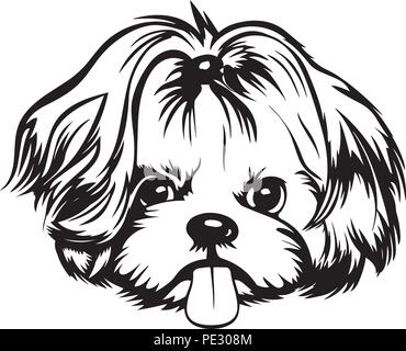 Shih Tzu Dog Breed Pet Puppy Isolated Head Face Stock Vector