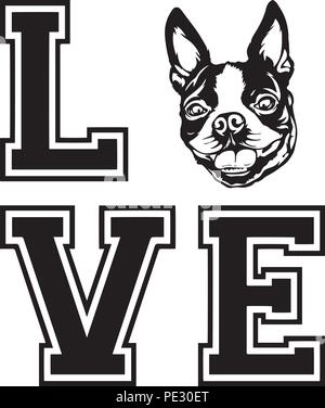 Boston Terrier Bostie Dog Breed Pet Puppy Isolated Head Face Stock Vector