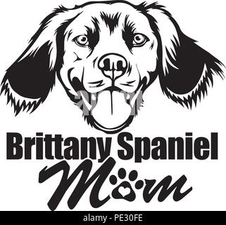 Brittany Spaniel Dog Breed Pet Puppy Isolated Head Face Stock Vector