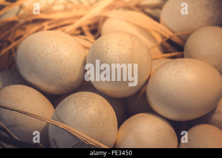 brown eggs at hay nest in chicken farm presented in the form of close-up photography and vintage tones. Stock Photo