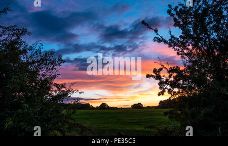 Beautiful summer sunset Stock Photo