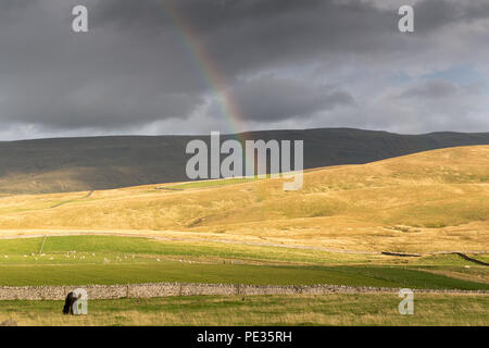 Rainbow over moorland after an autumn rain shower UK. Stock Photo