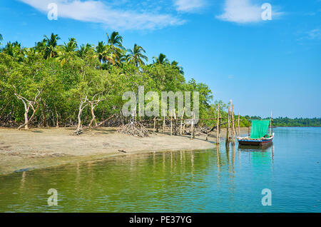 The old wooden raft-ferry is moored at the low tide mangroves, stretching along the estuary of Pathein river tributary, Thazin, Ngwesaung, Myanmar. Stock Photo