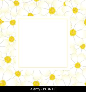 White Cosmos Flower Banner Card. Vector Illustration. Stock Vector