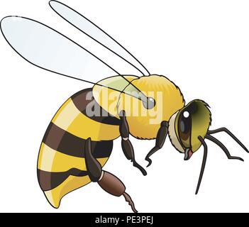 Illustration of a flying bee - Isolated on white Stock Vector