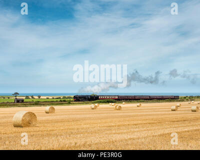 Poppyline steam train through fields. Stock Photo