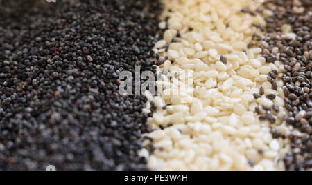 Close up photograph of a variety of seeds, including blue poppy seeds, sesame and chia seeds in neat rows Stock Photo