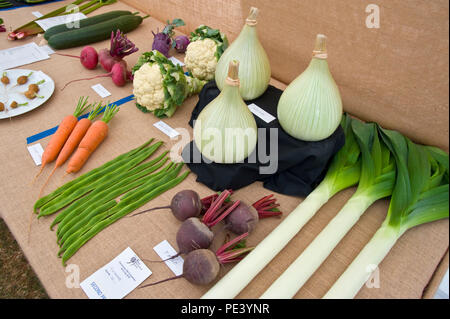 Prizewinning vegetables exhibited at RHS Tatton Park flower show Cheshire England UK Stock Photo