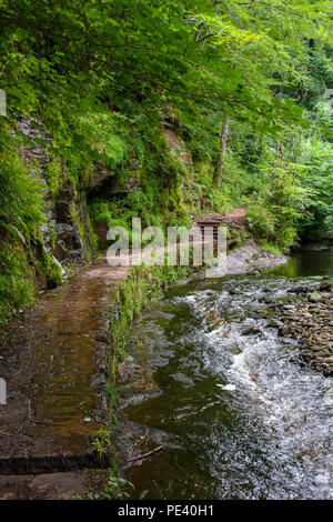 The River Gelt in Gelt Woods, Brampton, Cumbria Stock Photo