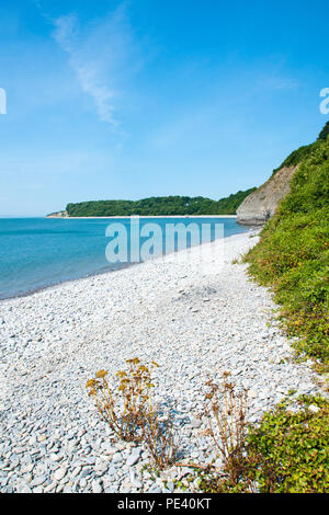 Pebble Beach, Cold Knap, Barry, with the Bull’s Nose and Porthkerry Park beyond. Stock Photo