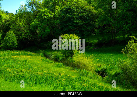 A meadow subject to flooding in a stream valley Stock Photo