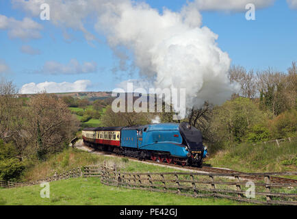 4464 'Bittern' heads past Green End on the NYMR 2.5.14 Stock Photo