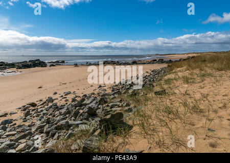 Forvie Sands grass and beach. Stock Photo