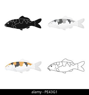 Carp-koi fish icon cartoon. Singe aquarium fish icon from the sea,ocean life cartoon. Stock Vector