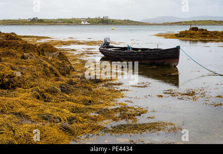 Small rowing boat at high tide in the seaweedy harbour of Roundstone on the coast of Connemara Ireland Stock Photo
