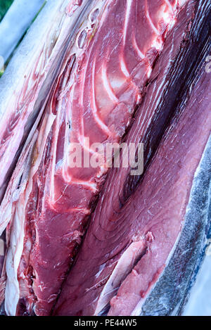 Closeup of the texture of raw fresh tuna fish flesh after being butchered for food Stock Photo