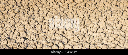 Close up of dried out river bed in Southwold, Suffolk, in drought conditions of 2018 Stock Photo