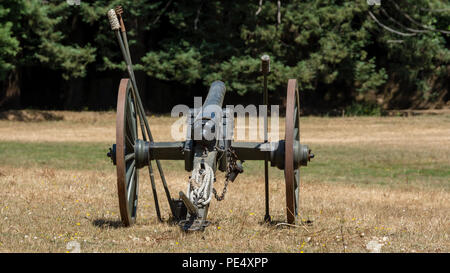 American Civil War small cannon on brown dry grass, viewed from the back Stock Photo
