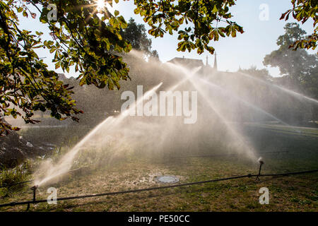 Baden-Baden, Lichtentaler Allee park, watering in the morning, irrigation of the green areas, while the whole of Germany is moaning under the summer h Stock Photo