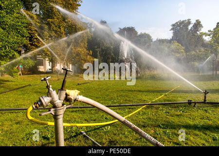 Baden-Baden, Lichtentaler Allee park, watering in the morning, irrigation of the green areas, while the whole of Germany is moaning under the summer h Stock Photo