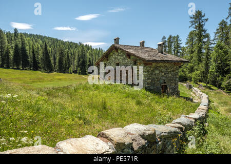 Rural mountain house with stone fence wall over a green yard against the forest and a blue sky. Mountain landscape in Valtellina, Italy. Stock Photo