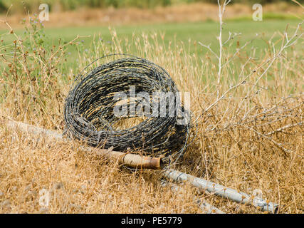 Coil of barbed wire in field, used for agricultural fencing, farmland. Stock Photo