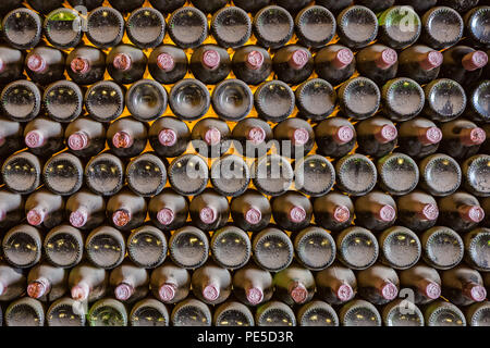 A wall full of dusty aging or maturing glasswine bottles in a wine cellar. Stock Photo