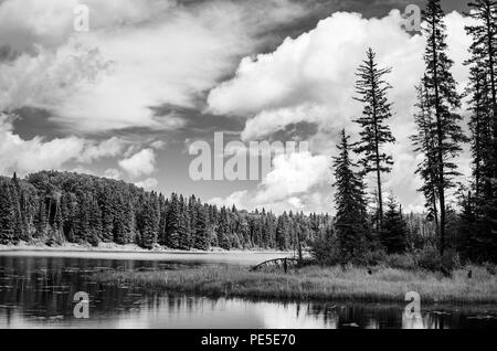 Stark contrast black and white landscape of Hickey Lake, Duck Mountain Provincial Park, Manitoba, Canada Stock Photo