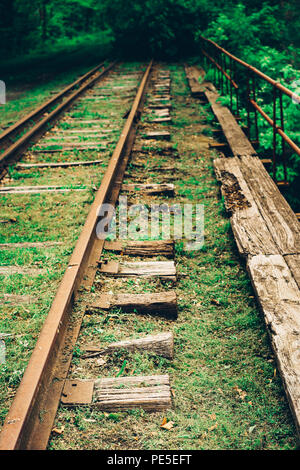 Overgrown, rotten and past their prime leading nowhere. Train tracks vintage. Stock Photo