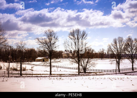 Sunshine over clouds and trees on the fenced winter farm. Stock Photo