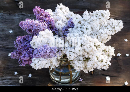 A large bouquet of purple and white lilacs in a glass vase on a rustic, wooden, brown background in the sunshine. Stock Photo
