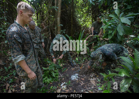 Reconnaissance Ph A Philippine reconnaissance Marine demonstrates how to set a bird trap ...