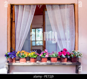 Window with curtains with flowers in pot on old house. Retro and vintage concept. Close up, selective focus Stock Photo