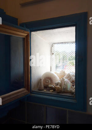 Large beach shell collection on window ledge Stock Photo