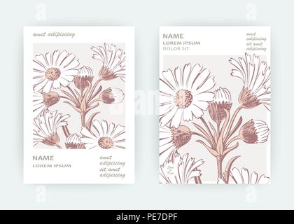 Card flowers Calendula, Chrysanthemum, Chamomile, Daisy, Aster. Wedding ornament minimalist pastel colors. Floral trendy poster, invite. Vector decora Stock Vector