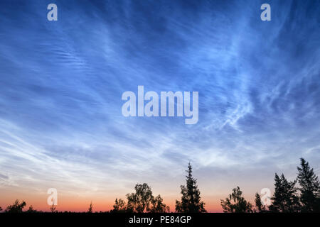 Night cloudy sky over deep forest. Abstract outdoor scene at sunset. South Karelia, Russia Stock Photo